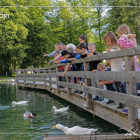 Slovenia Eco Resort Stahovica Eksteriør billede