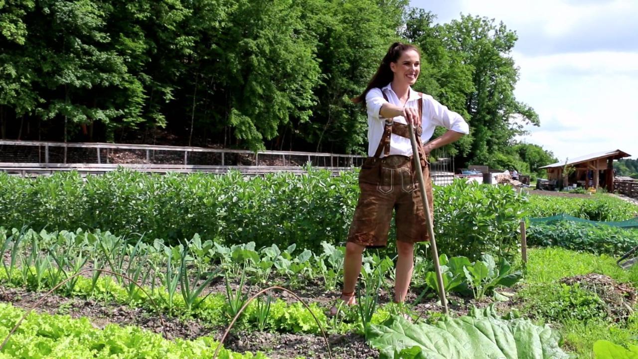 Slovenia Eco Resort Stahovica Eksteriør billede