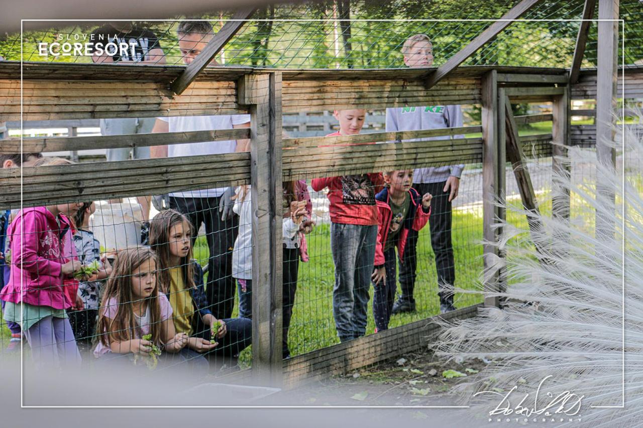 Slovenia Eco Resort Stahovica Eksteriør billede