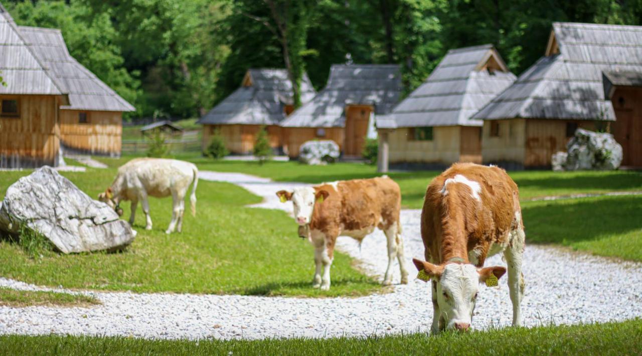 Slovenia Eco Resort Stahovica Eksteriør billede