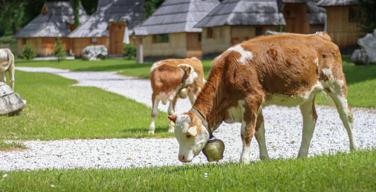Slovenia Eco Resort Stahovica Eksteriør billede