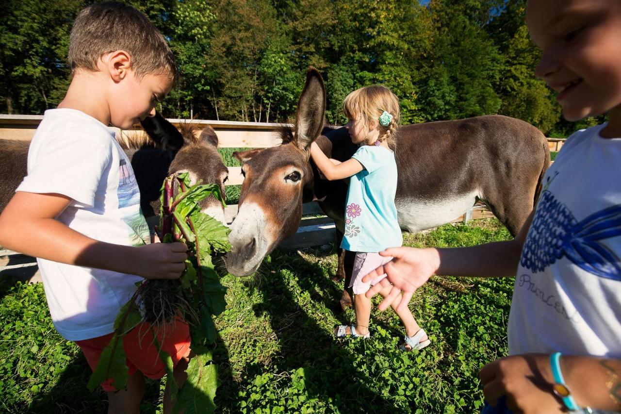 Slovenia Eco Resort Stahovica Eksteriør billede