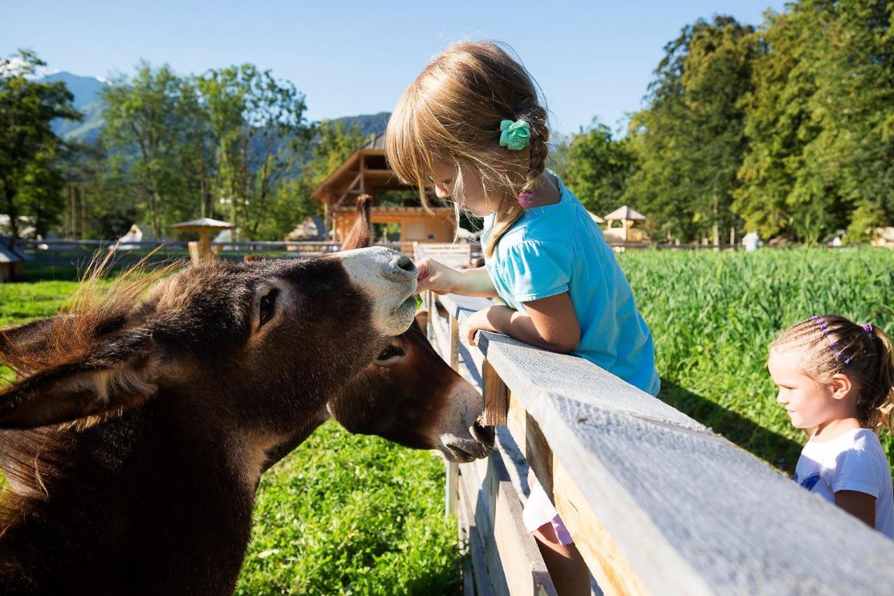 Slovenia Eco Resort Stahovica Eksteriør billede