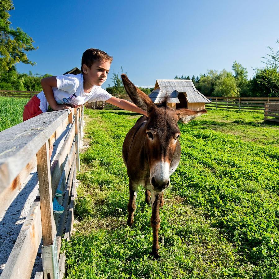 Slovenia Eco Resort Stahovica Eksteriør billede