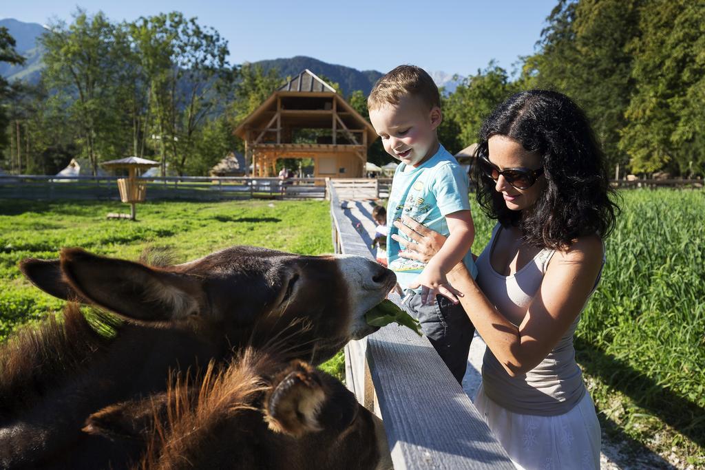 Slovenia Eco Resort Stahovica Eksteriør billede